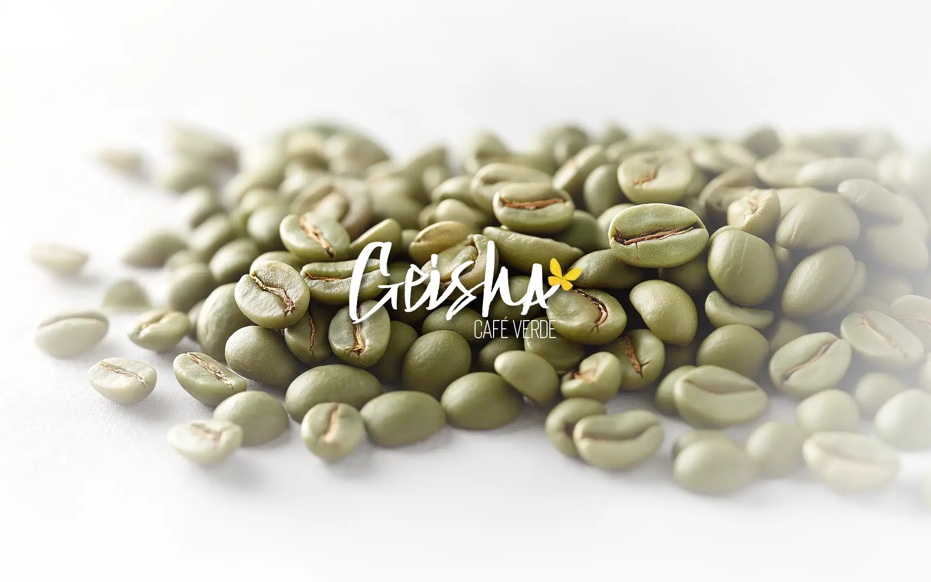 Granos de café Geisha en verde
